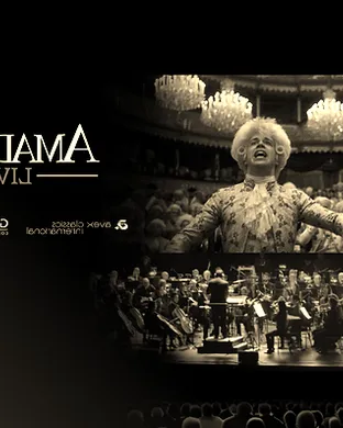 Amadeus Live Chicago