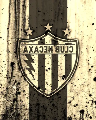 Club Necaxa Bridgeview