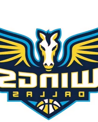 Dallas Wings Chicago