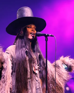 Erykah Badu Highland Park