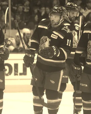 Grand Rapids Griffins Rosemont