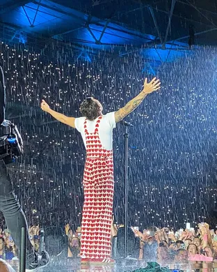 Harry Styles Chicago