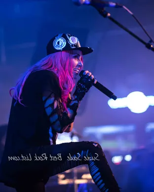 Icon For Hire Chicago