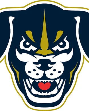 Lincoln Saltdogs Rosemont