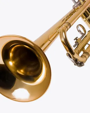 Ma Rainey's Black Bottom Chicago