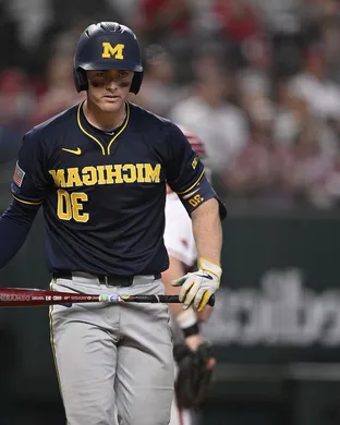 Michigan Wolverines Baseball Ann Arbor