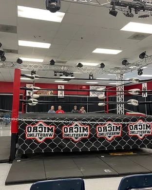 Micro Wrestling Crown Point