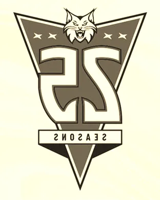 Minnesota Lynx Chicago