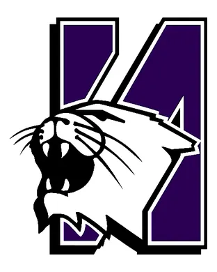 Northwestern Wildcats Football Bloomington