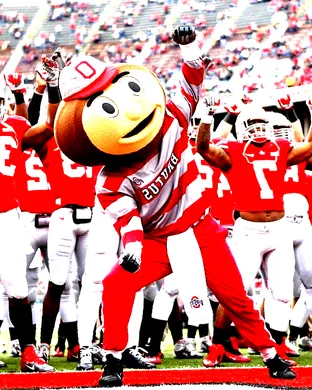 Ohio State Buckeyes Football Columbus