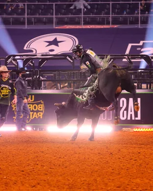 PBR - Professional Bull Riders Chicago