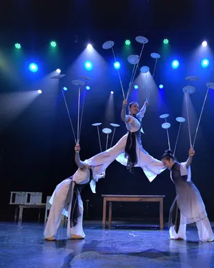 The Peking Acrobats Schaumburg