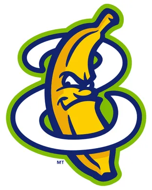 Savannah Bananas Chicago