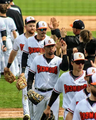 Schaumburg Boomers Schaumburg