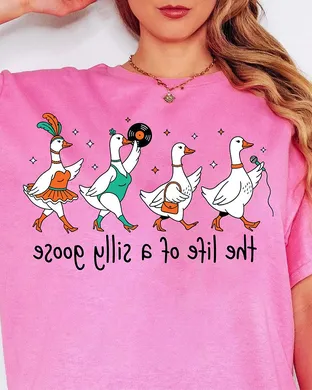 Silly Goose Chicago