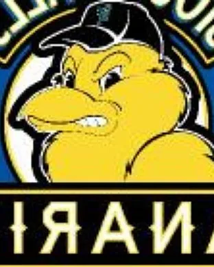 Sioux Falls Canaries Rosemont