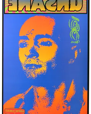 Unsane Chicago