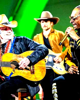 Willie Nelson Tinley Park