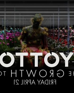 Yotto Chicago