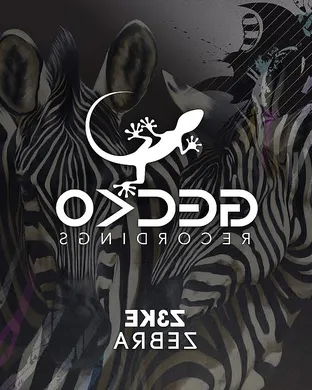 Zebra Saint Charles